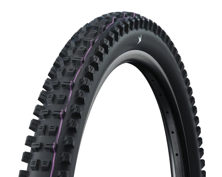 Schwalbe Tacky Chan 29"