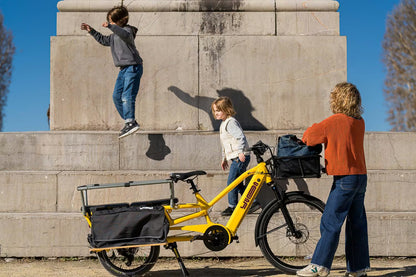 Yuba 2-Go Cargo Bags