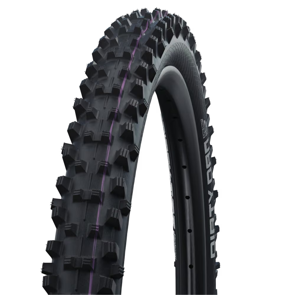 Schwalbe Dirty Dan 29"