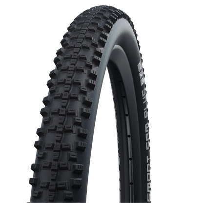 Schwalbe Smart Sam Plus HS624 20"