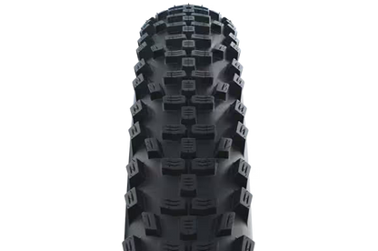 Schwalbe Smart Sam HS624 18"
