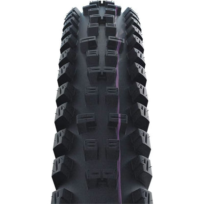 Schwalbe Tacky Chan Radial 29"